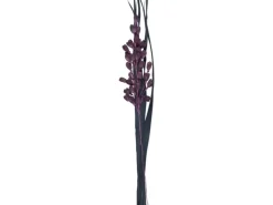 Getrockneter Dekostrauß Lilie Midnight Mystery 95 cm Lila-Schwarz