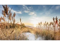 Giclèe Wilder Strand III 160 cm x 90 cm