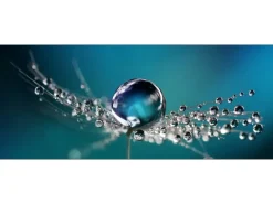 Glasbild Drop On Water 80 cm x 30 cm