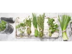 Glasbild Ingredients VI 80 cm x 30 cm