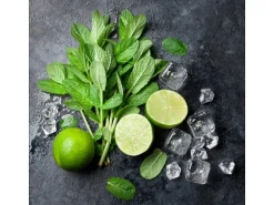 Glasbild Lime & Ice Cube 20 cm x 20 cm
