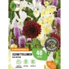 GROW by OBI Schnittblumen-Kollektion Höhe ca. 50 cm - 100 cm