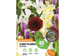 GROW by OBI Schnittblumen-Kollektion Höhe ca. 50 cm - 100 cm