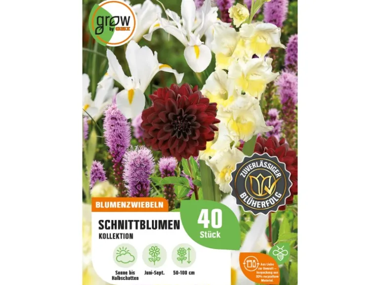 GROW by OBI Schnittblumen-Kollektion Höhe ca. 50 cm - 100 cm