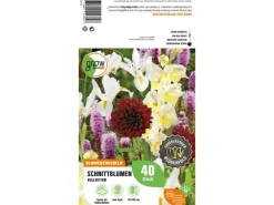 GROW by OBI Schnittblumen-Kollektion Höhe ca. 50 cm - 100 cm