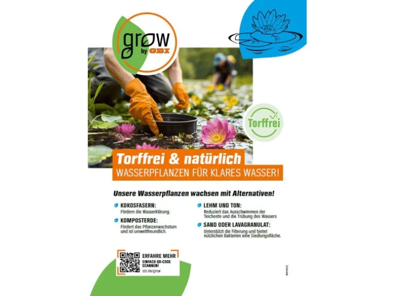 GROW by OBI Wassernabel Bunt Topf-Ø ca. 11 cm