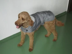 Heim Hundemantel Banbury Mit Kragen Größe S Rückenlänge 40 cm