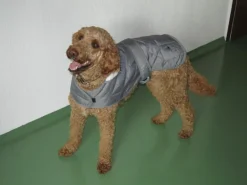 Heim Hundemantel Banbury Mit Kragen Größe S Rückenlänge 40 cm