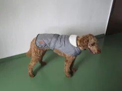 Heim Hundemantel Banbury Mit Kragen Größe S Rückenlänge 40 cm