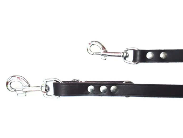 Heim Hunde-Vorführleine Softleder Breite 20 mm Länge 240 cm Braun