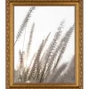 Holzbilderrahmen Barock Gold 24 cm x 30 cm