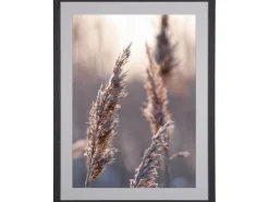 Holzbilderrahmen Schwarz Breit 60 cm x 80 cm