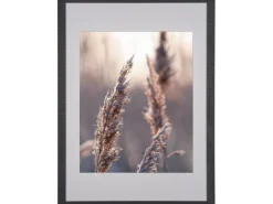 Holzbilderrahmen Schwarz Breit 50 cm x 70 cm