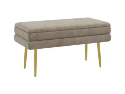 HOMCOM Sitzbank Polsterbank mit Stauraum Samtoptik Beige 79 x 37 x 43 cm
