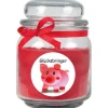 HS Candle Duftkerze & Bonbon Glas Viel Glück Rot Rose