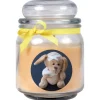 HS Candle Duftkerze & Bonbon Glas Genesung Gelb Vanille
