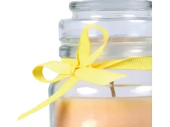 HS Candle Duftkerze & Glas Sternzeichen Vanille 30 Stunden Schütze