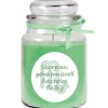 HS Candle Duftkerze & Glas Sternzeichen Coconut Limes 110 Stunden Skorpion