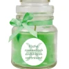 HS Candle Duftkerze & Glas Sternzeichen Coconut Limes 30 Stunden Fische