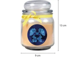 HS Candle Duftkerze & Glas Sternzeichen Vanille 70 Stunden Zwillinge