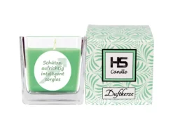 HS Candle Duftkerze & Glas Sternzeichen Coconut Limes 50 Stunden Schütze