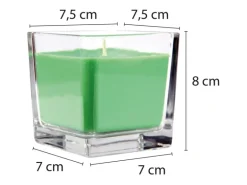 HS Candle Duftkerze & Glas Sternzeichen Coconut Limes 50 Stunden Schütze