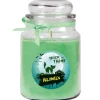HS Candle Duftkerze & Glas Halloween Grün Bonbon 110h