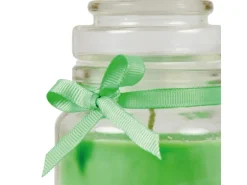 HS Candle Duftkerze & Glas Sternzeichen Coconut Limes 30 Stunden Schütze