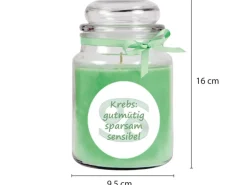 HS Candle Duftkerze & Glas Sternzeichen Coconut Limes 110 Stunden Krebs