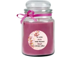 HS Candle Duftkerze & Glas Karneval Lila Bonbon 110h