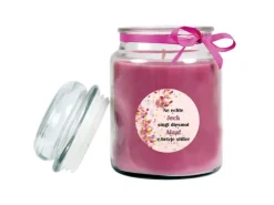 HS Candle Duftkerze & Glas Karneval Lila Bonbon 110h