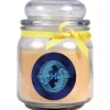 HS Candle Duftkerze & Glas Sternzeichen Vanille 70 Stunden Fische