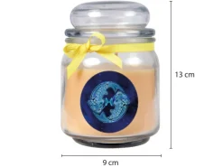HS Candle Duftkerze & Glas Sternzeichen Vanille 70 Stunden Fische
