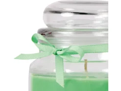 HS Candle Duftkerze & Glas Sternzeichen Coconut Limes 70 Stunden Schütze
