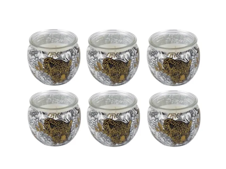HS Candle Duftkerze Motiv 6er Pack Anti Tabak Ginger Lime