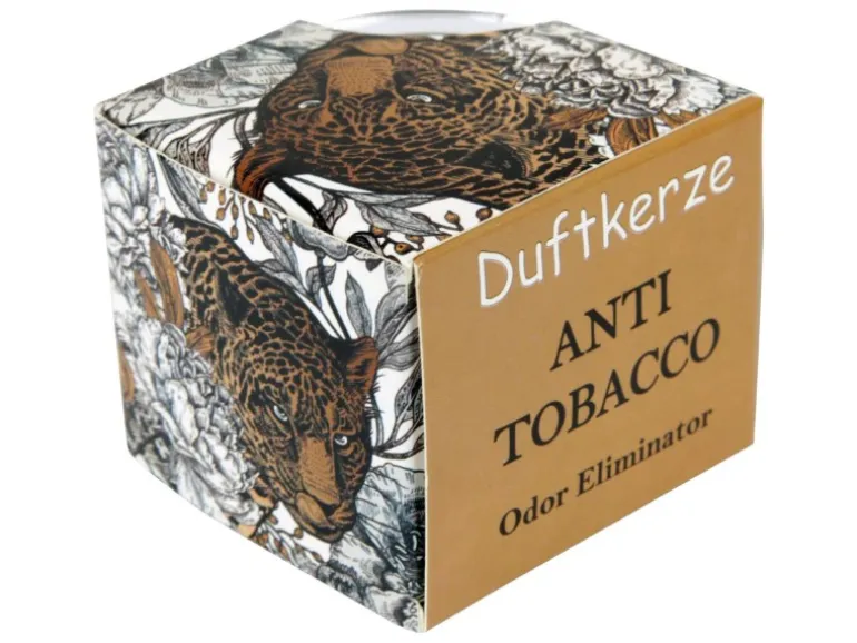 HS Candle Duftkerze Motiv 6er Pack Anti Tabak Ginger Lime