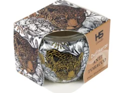 HS Candle Duftkerze Motiv 6er Pack Anti Tabak Ginger Lime