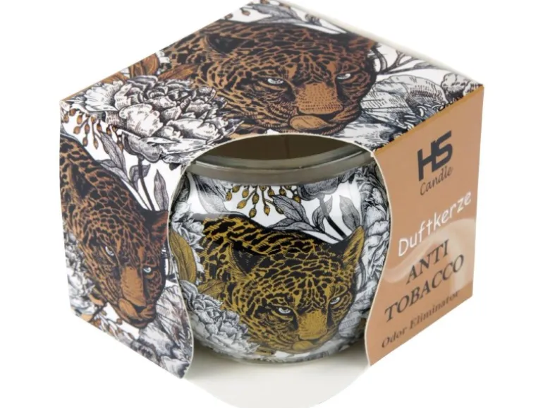 HS Candle Duftkerze Motiv 6er Pack Anti Tabak Ginger Lime