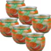 HS Candle Duftkerze Motiv 6er Pack Fresh Melon