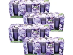 HS Candle Duftkerzen Classic 12er Pack Lavendel