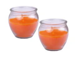 HS Candle Duftkerzen Creation 10er Pack Mango Sorbet