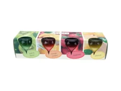 HS Candle Duftkerzen Selection 4 Kerzen Mix Fruit Selection