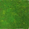 Jangal Wandpaneel Modular Wall Light Green Fibre Design Moos 52 x 52 cm
