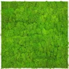 Jangal Wandpaneel Modular Wall Bright Green Moos 52 x 52 cm