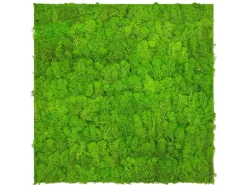 Jangal Wandpaneel Modular Wall Bright Green Moos 52 x 52 cm