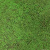 Jangal Wandpaneel Modular Wall Forest Green Ancient Tree 52 x 52 cm