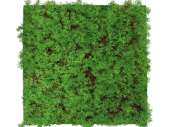 Jangal Wandpaneel Modular Wall Thuja Tea Tree 52 x 52 cm