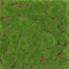 Jangal Wandpaneel Modular Wall Forest Green Bulk Design moos 52 x 52 cm