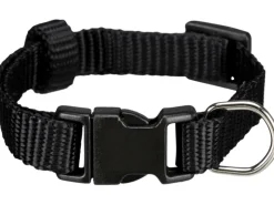 Jollypaw Halsband XS-S 22-35 cm 10 mm Schwarz