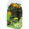 JR Farm Nager-Ergänzungsfutter Grainless Plus Kamille und Löwenzahn 100 g
